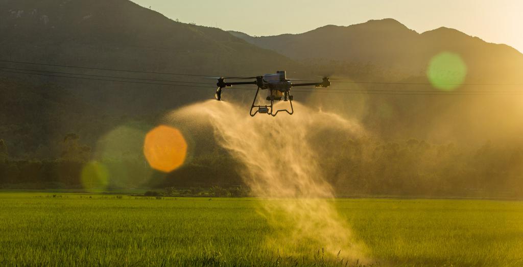 giấy phép điều khiển drone